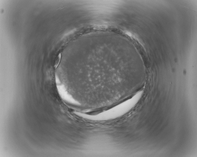 X0000085311445200704092311