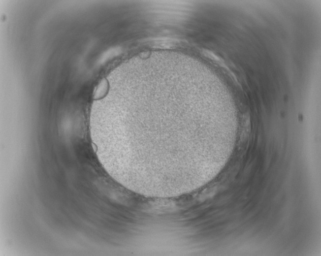 X0000085311446200704092311