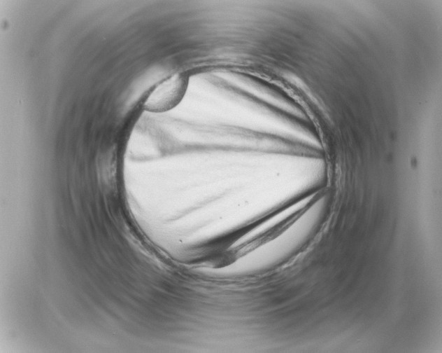 X0000085311450200704092311