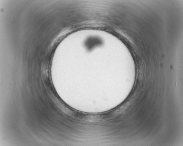 X0000085311451200704092311