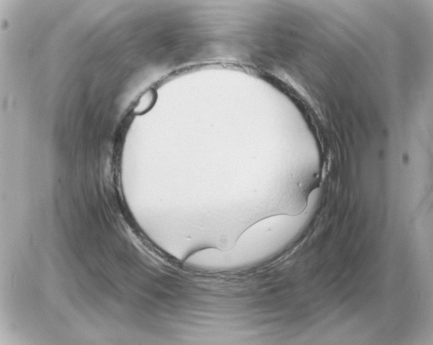 X0000085311452200704092311