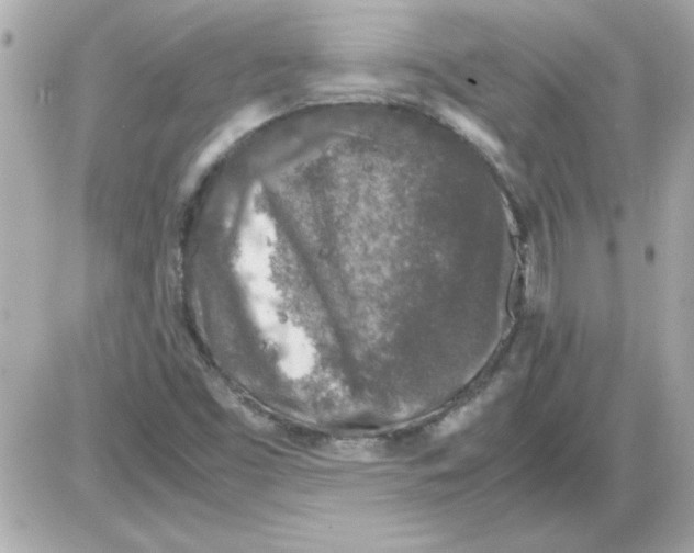 X0000085311453200704092311