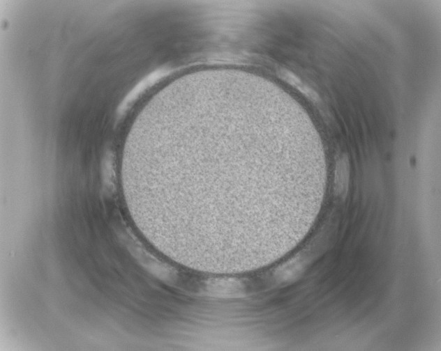 X0000085311454200704092311