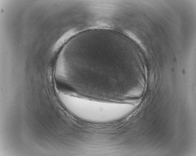 X0000085311455200704092311