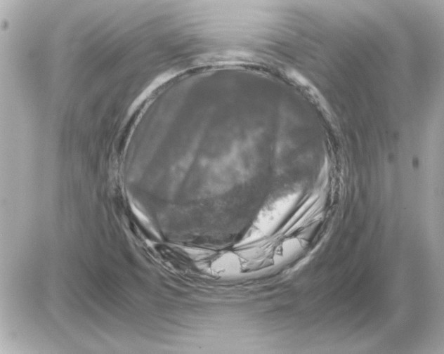 X0000085311457200704092311