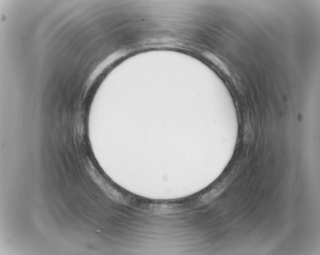 X0000085311458200704092311