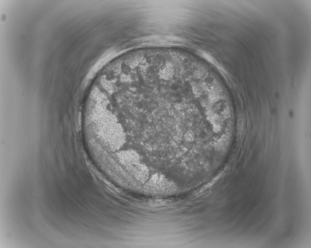 X0000085311459200704092311