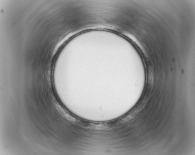 X0000085311460200704092311