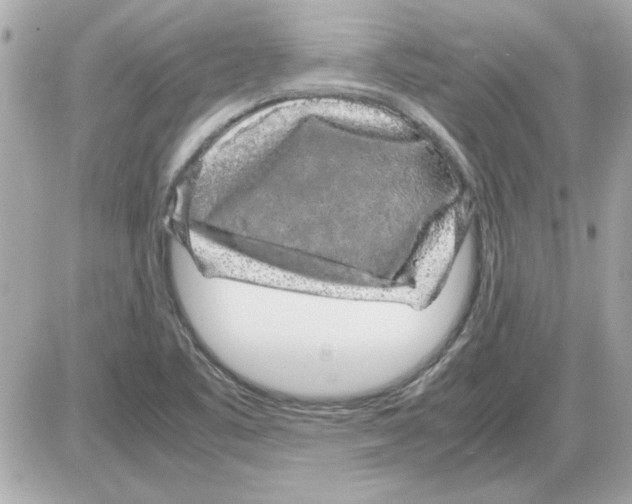 X0000085311461200704092311