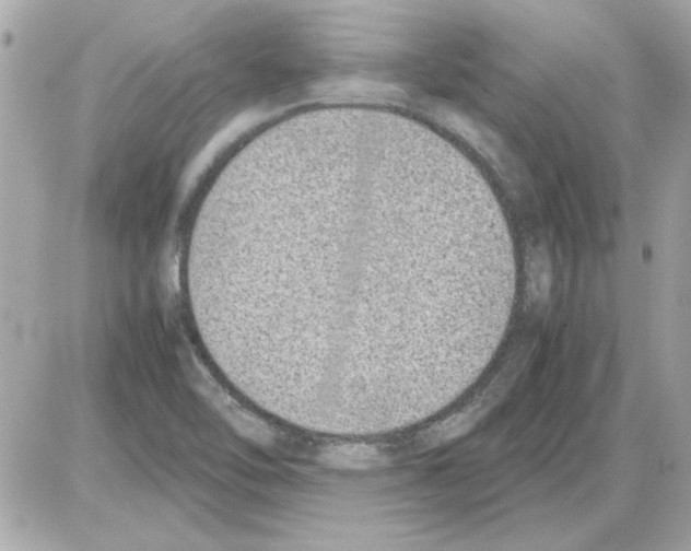 X0000085311462200704092311