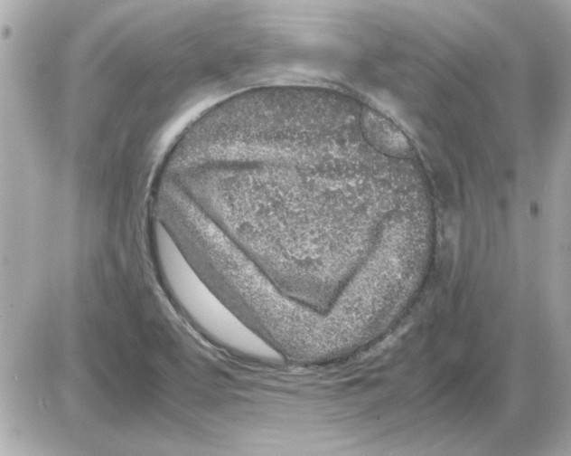 X0000085311463200704092311