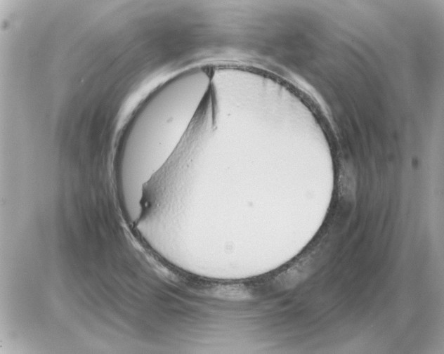 X0000085311464200704092311