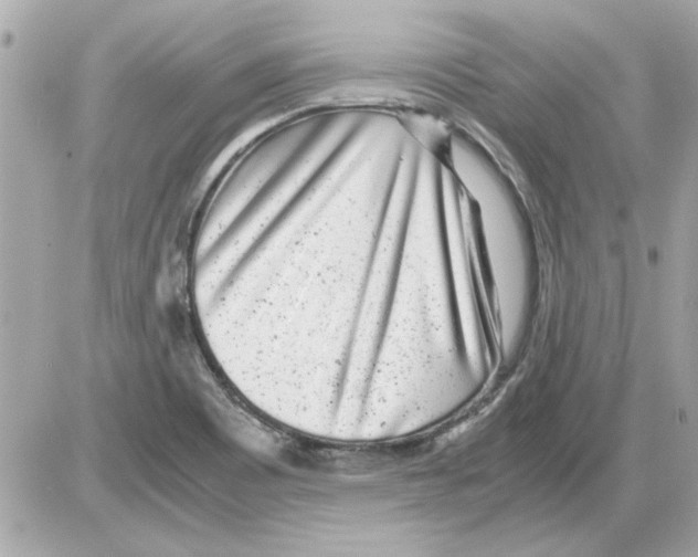 X0000085311465200704092311