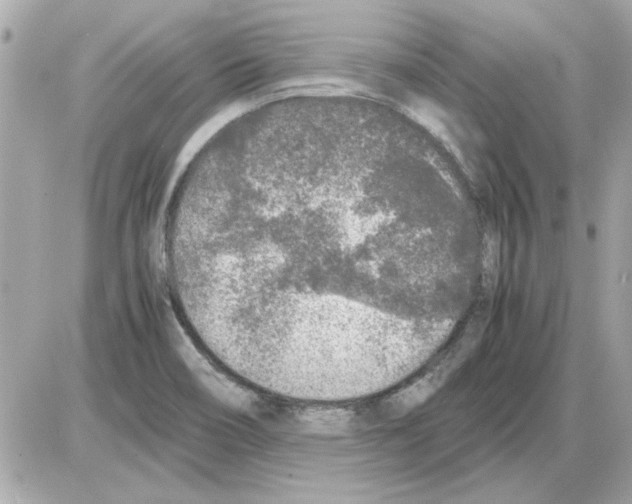 X0000085311466200704092311