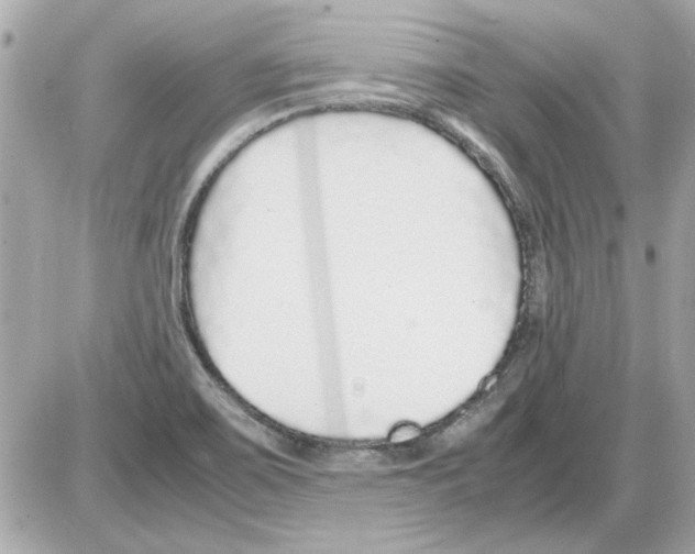 X0000085311467200704092311