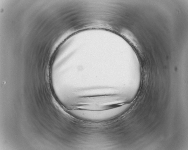 X0000085311468200704092311