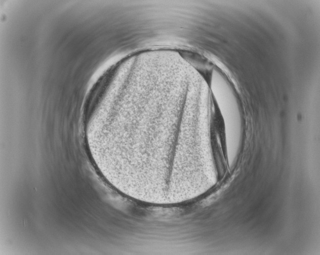 X0000085311469200704092311