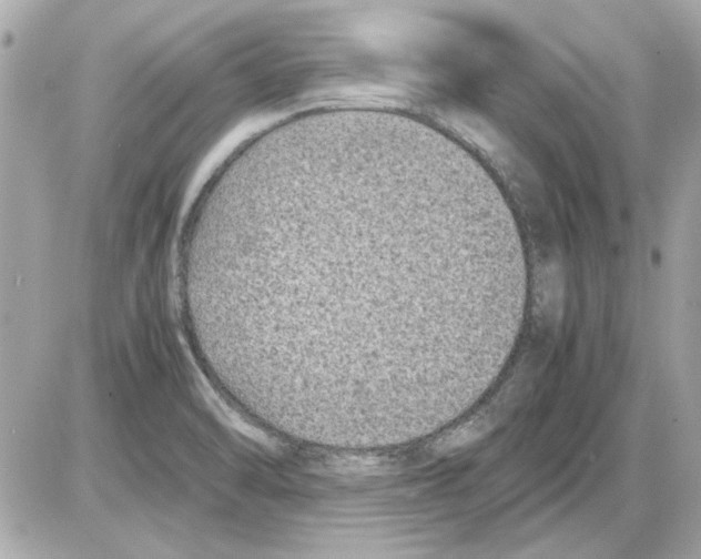 X0000085311470200704092311