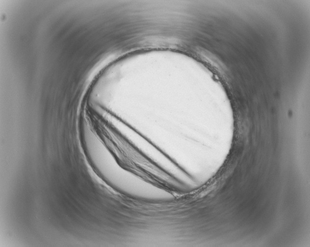 X0000085311471200704092311