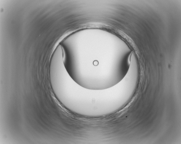 X0000085311473200704092310