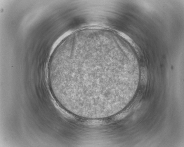 X0000085311474200704092310