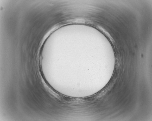 X0000085311475200704092310