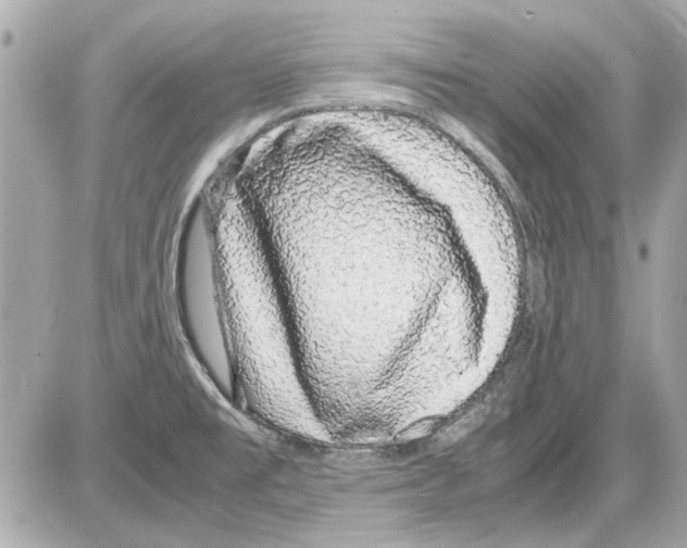 X0000085311477200704092310