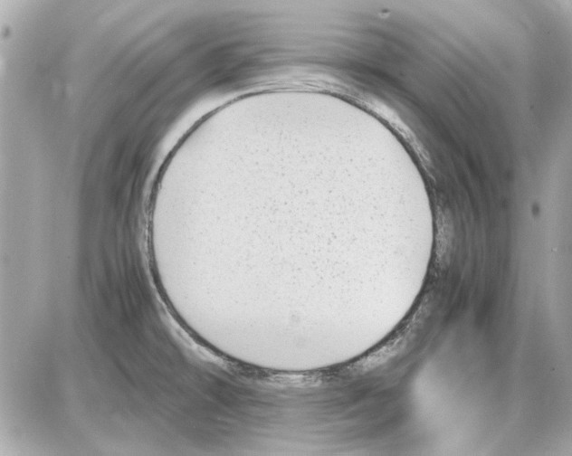 X0000085311478200704092310