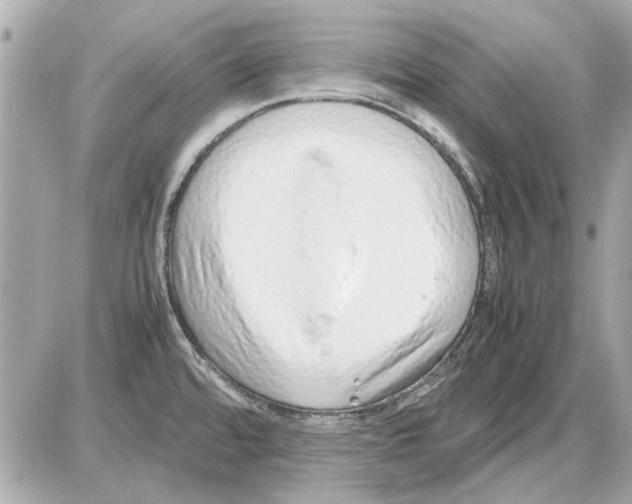 X0000085311480200704092310