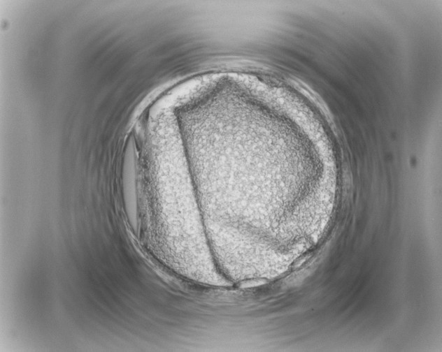 X0000085311481200704092310