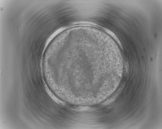 X0000085311482200704092310