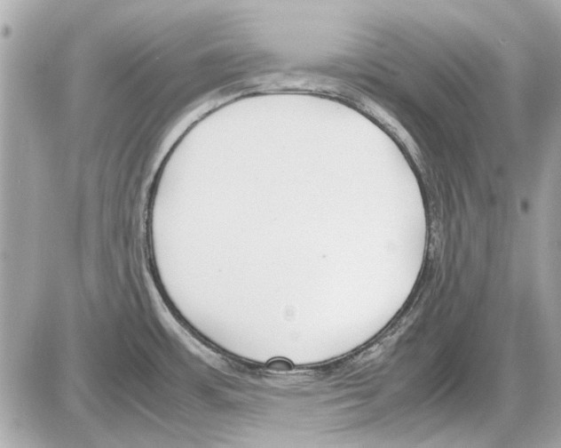 X0000085311483200704092310