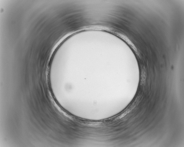 X0000085311484200704092310