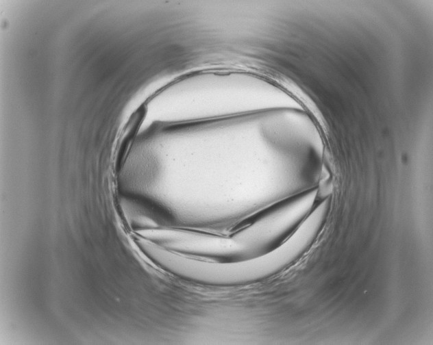 X0000085311485200704092310