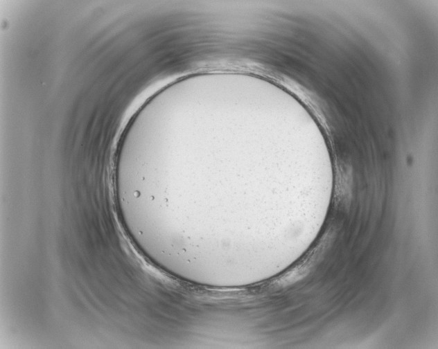 X0000085311486200704092310