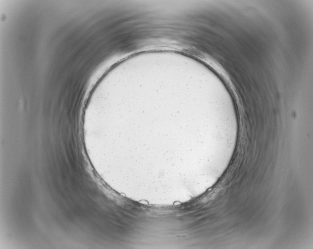 X0000085311488200704092310