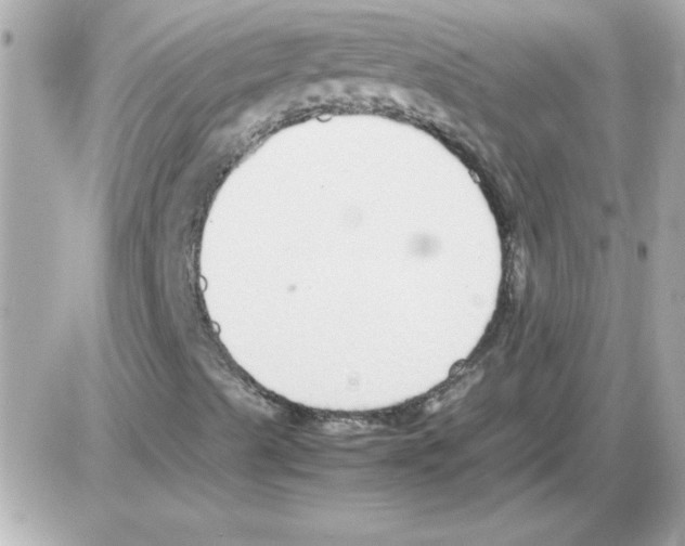 X0000085311489200704092309