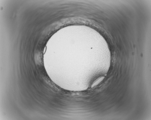 X0000085311490200704092309