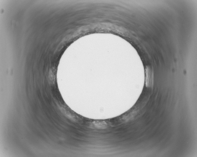 X0000085311491200704092309