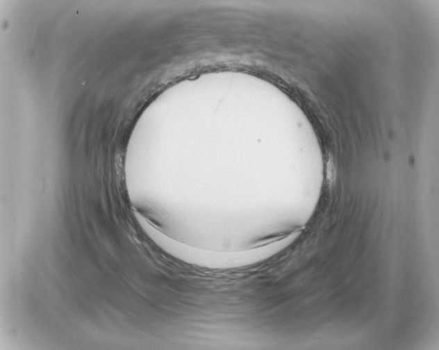 X0000085311492200704092309