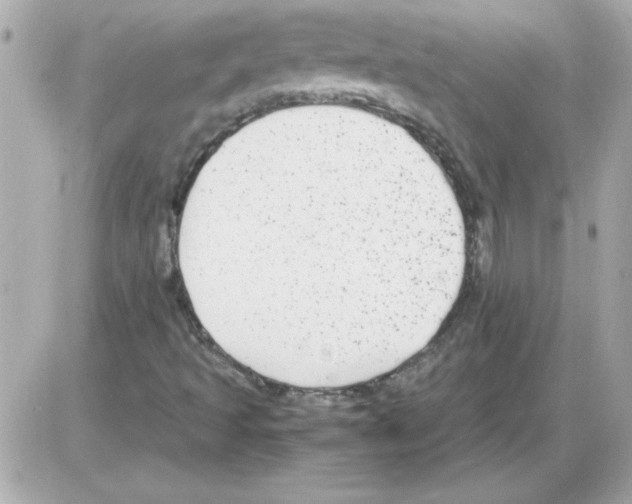 X0000085311493200704092310