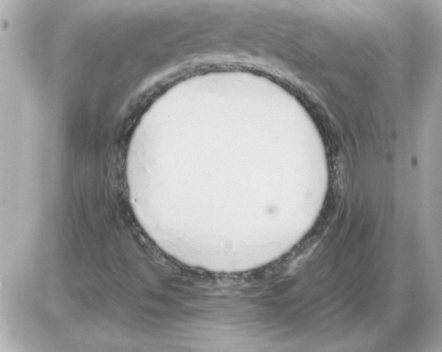 X0000085311494200704092310