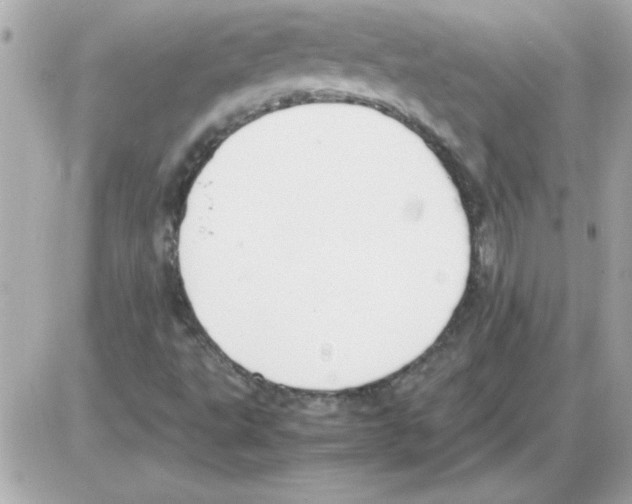 X0000085311495200704092310