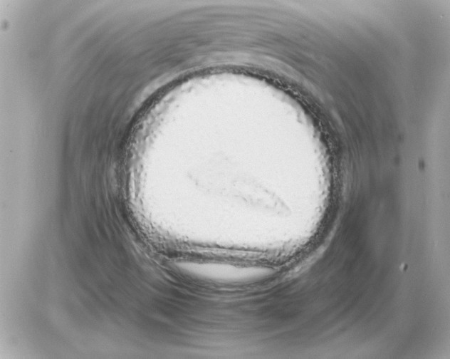 X0000085311497200704092310