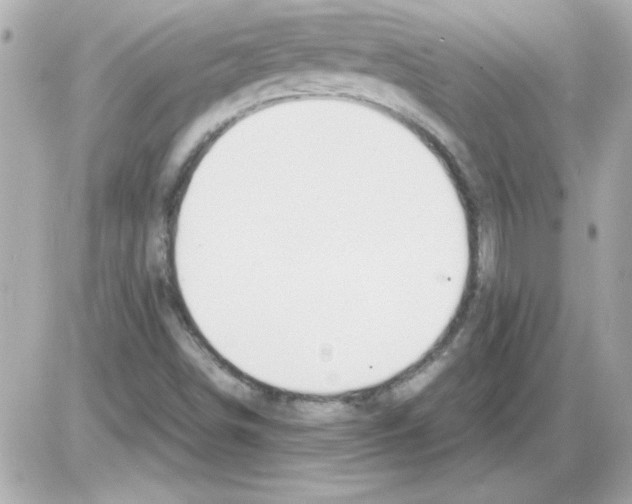 X0000085311498200704092310