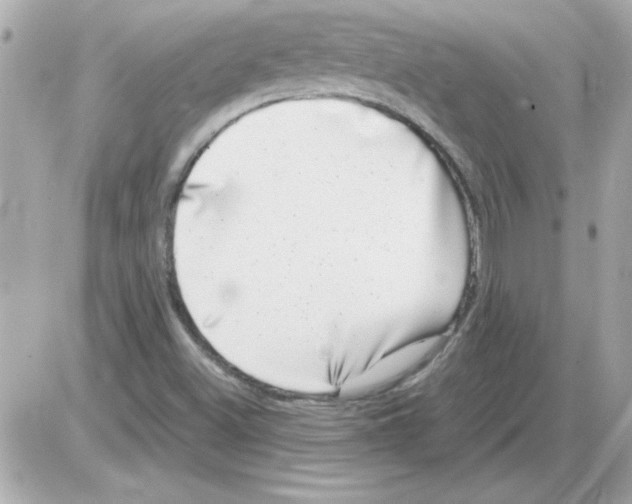 X0000085311500200704092310