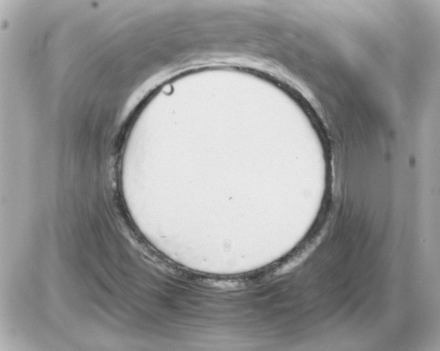 X0000085311501200704092310