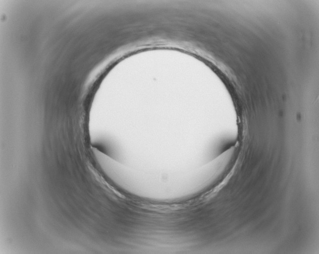 X0000085311502200704092310