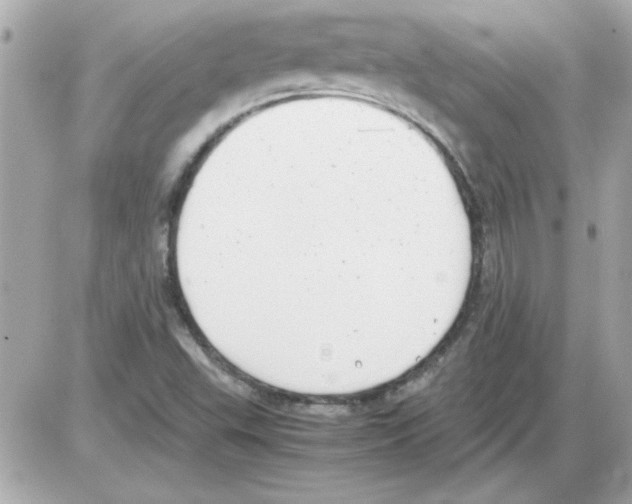 X0000085311503200704092310