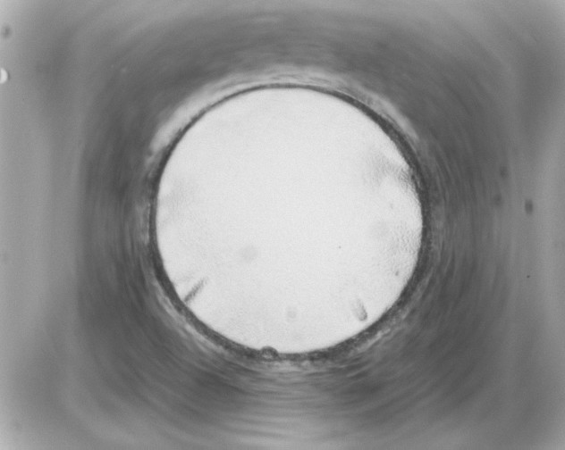 X0000085311504200704092310